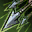 skill